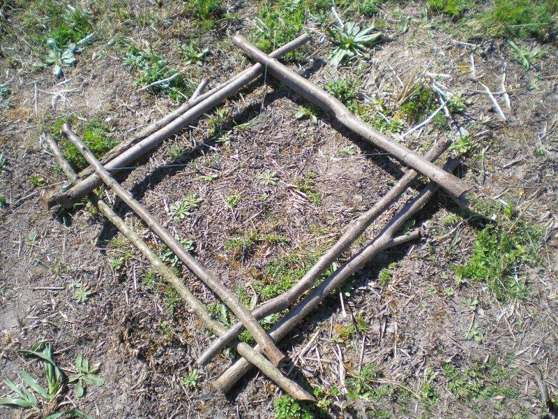 Ловушка для сороки своими руками Ловушка для сороки своими руками