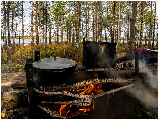 Осень, гуси (осень, гусь, фото, ГУСИ фото) Осень, гуси