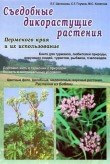 Съедобные дикорастущие растения Пермского края и их использование