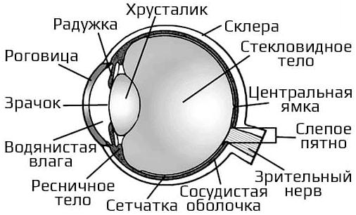 Карманная книга солдата. Глава 1: Полевая выучка. Часть 2: Карточка огня, целеуказание, приказы Карманная книга солдата. Глава 1: Полевая выучка. Часть 2: Карточка огня, целеуказание, приказы