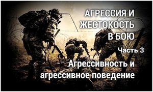 Агрессия и жестокость в бою. Часть 3: Агрессивность и агрессивное поведение