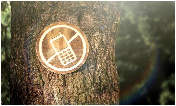 Цифровой детокс (Digital detox) - что это, зачем и когда? Цифровой детокс (Digital detox) - что это, зачем и когда?