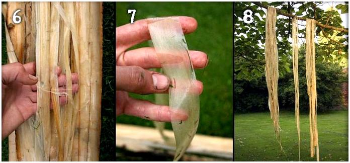 Верёвка своими руками. Часть 1: Обработка липовой коры для плетения верёвки