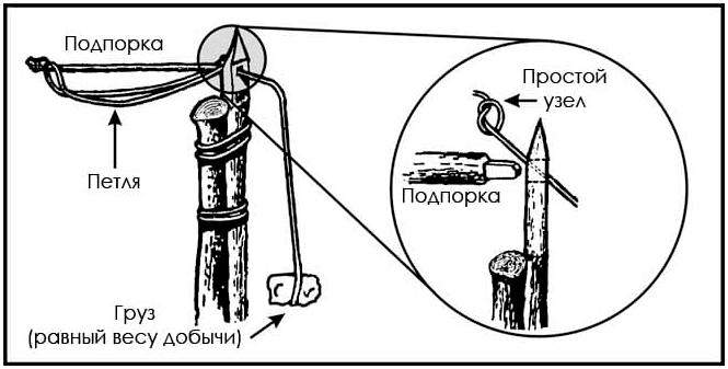 Пособие по выживанию армии США. Глава 8: Добыча еды