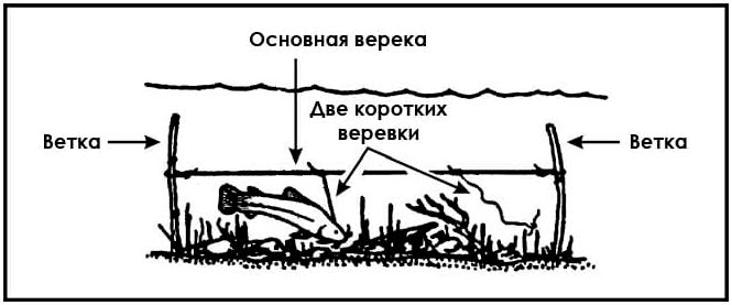 Пособие по выживанию армии США. Глава 8: Добыча еды