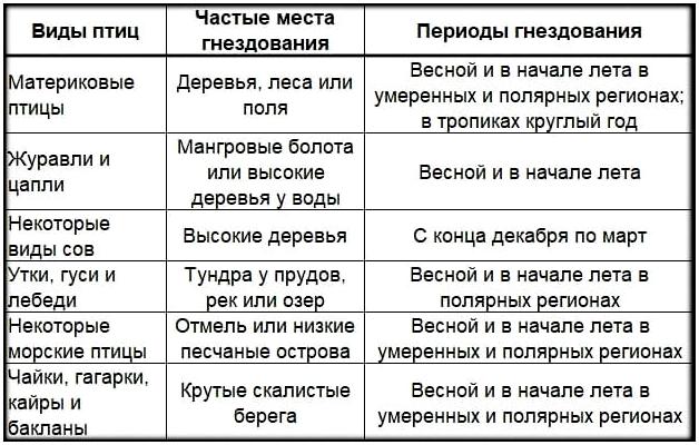 Пособие по выживанию армии США. Глава 8: Добыча еды