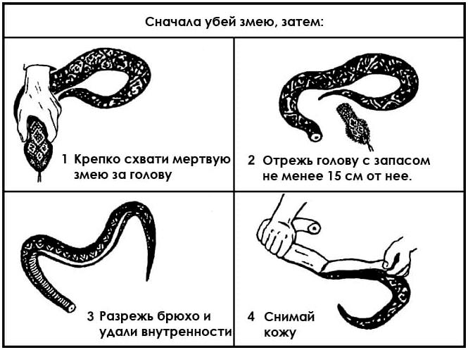 Пособие по выживанию армии США. Глава 8: Добыча еды