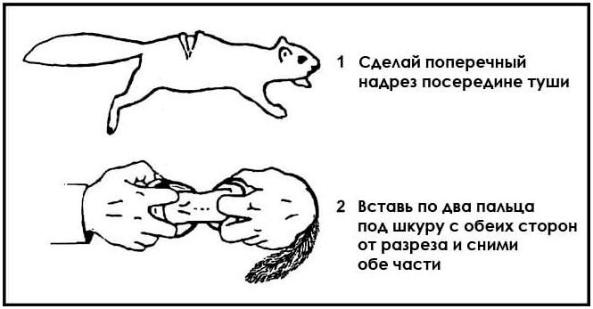 Пособие по выживанию армии США. Глава 8: Добыча еды