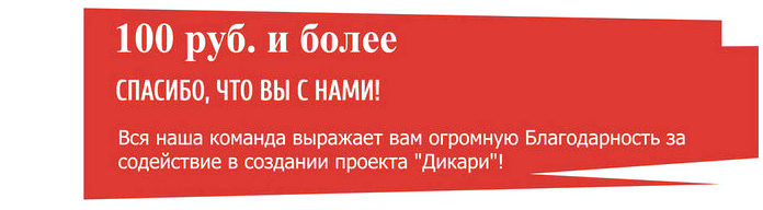 "Дикари" - первое интерактивное реалити-шоу! "Дикари" - первое интерактивное реалити-шоу!