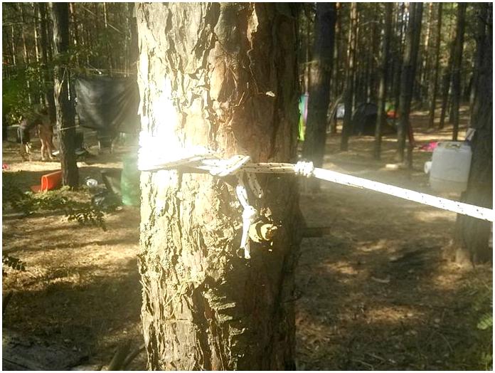 Гамак: ночёвка в лесу с повышенным уровнем комфорта Гамак: ночёвка в лесу с повышенным уровнем комфорта