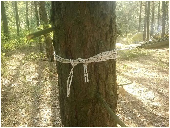 Гамак: ночёвка в лесу с повышенным уровнем комфорта Гамак: ночёвка в лесу с повышенным уровнем комфорта
