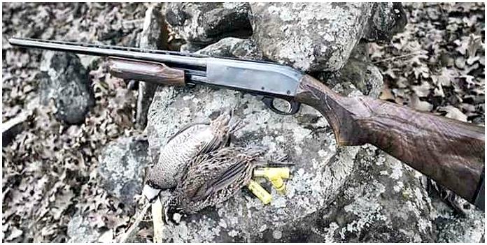 Remington 870: Самое лучшее помповое ружьё в мире? Remington 870: Самое лучшее помповое ружьё в мире?