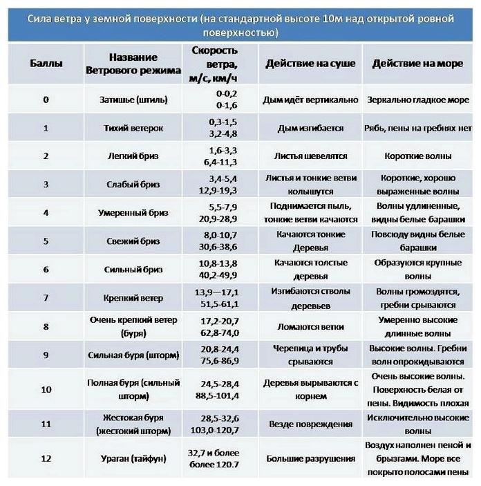 11 погибших при урагане в Москве: Бездействие МЧС или халатность граждан? 11 погибших при урагане в Москве: Бездействие МЧС или халатность граждан?