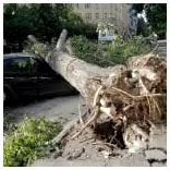 11 погибших при урагане в Москве: Бездействие МЧС или халатность граждан? 11 погибших при урагане в Москве: Бездействие МЧС или халатность граждан?