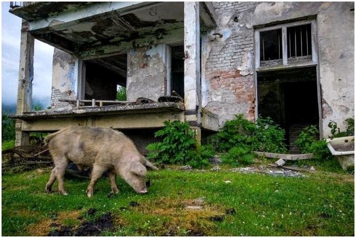 Дух апокалипсиса. Часть 2: Заброшенные города Абхазии Дух апокалипсиса. Часть 2: Заброшенные города Абхазии