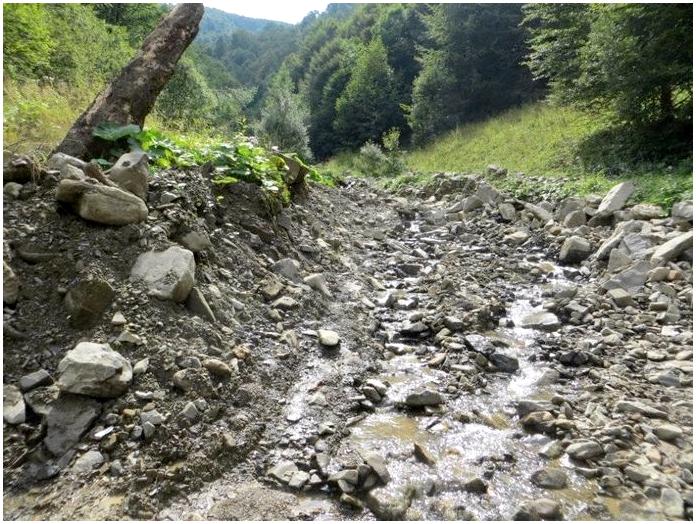 Карпаты. Вечные и современные