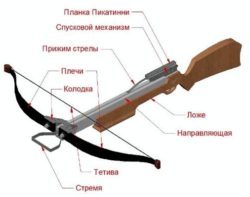 Современные арбалеты. Основы, терминология, классификация. Часть 1