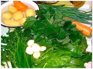 Вкусно и полезно: Рецепты блюд из весенних растений Вкусно и полезно: Рецепты блюд из весенних растений