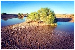 Добыча и поиск воды в пустыне