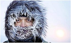 Как выжить в Арктике