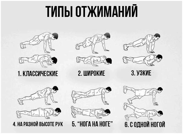 Тренировка выносливости. Какие упражнения необходимы? Тренировка выносливости. Какие упражнения необходимы?