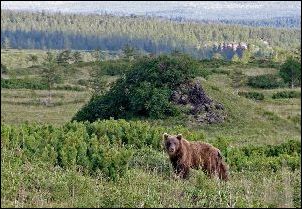 Два года спустя