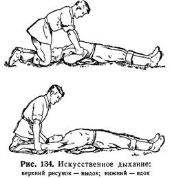 Первая помощь на охоте