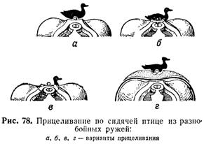 СТРЕЛЬБА НА ОХОТЕ ДРОБЬЮ