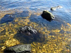 Упал в воду в одежде что делать