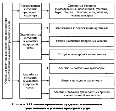 3.1. Проблемы вынужденного автономного существования