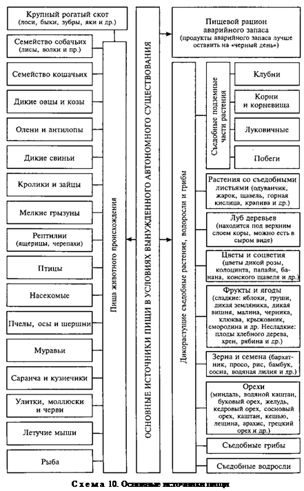 4.7. Поиск и приготовление пищи