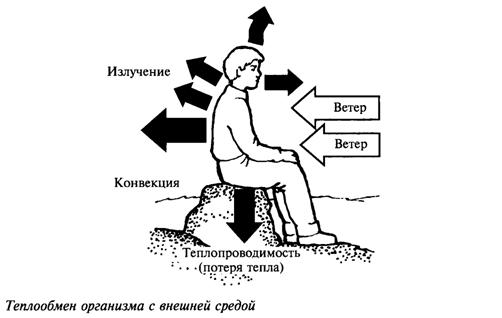 Неблагоприятные природное факторы и защита от них