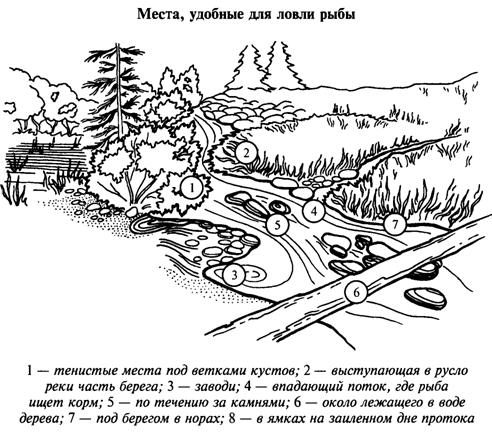 Рыбная ловля