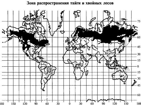 Тайга равнинная и горная. Физико-географическая характеристика таежной зоны