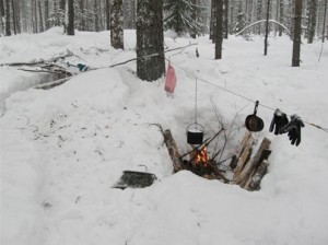 Выходные в зимнем лесу 