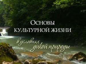 Учебно-практический семинар «Основы культурной жизни в условиях дикой природы» 