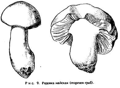 Подпись: 