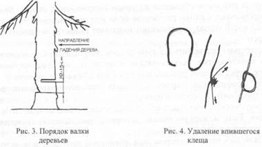 ХАРАКТЕРНЫЕ ТРАВМЫ И ЗАБОЛЕВАНИЯ В ВОДНЫХ ПОХОДАХ, ИХ ПРОФИЛАКТИКА