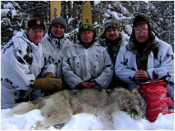 Управление охраны животных. Управление биоресурсами липецкой области. Оперативный отдел охраны вбр хабаровского края. Управление охраны животных. Управление охраны животных.