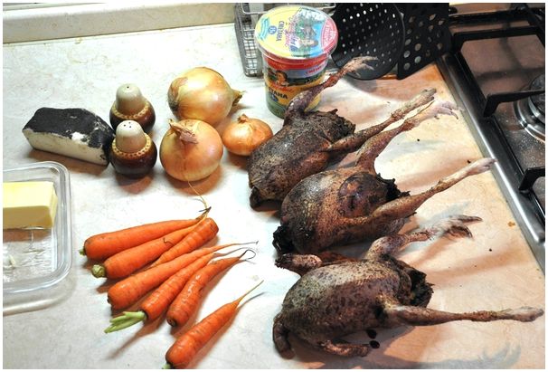 Куропатки тушёные в сметане