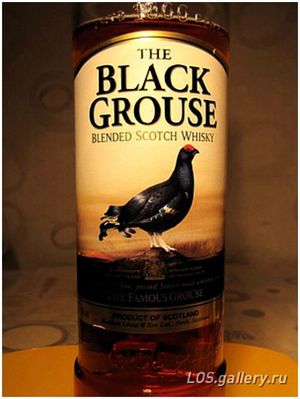 Тетерев. The Black Grouse.