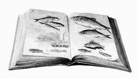 «Искусный Рыболов, или Медитация для мужчин»