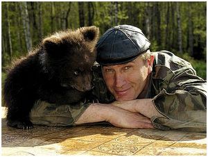 Медведи и люди