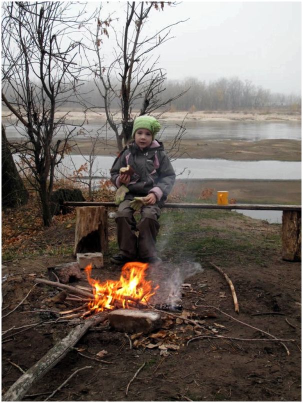 Олени и щука
