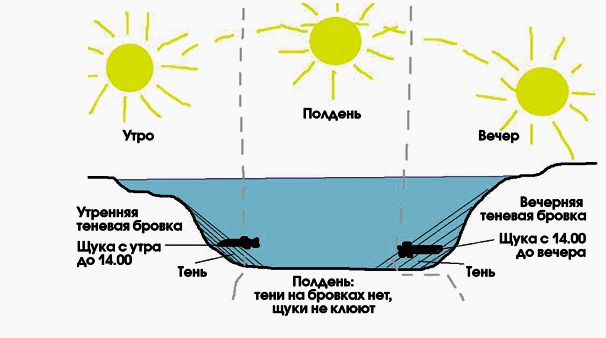 Свет, тень  и клёв хищника