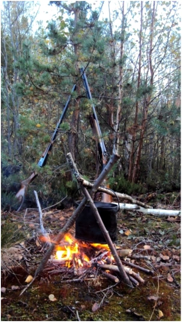 Досада гончих