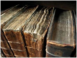 Летопись русских охотничьих книг