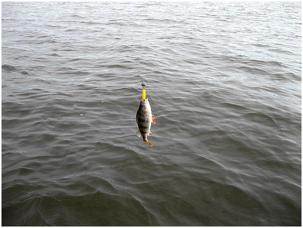 Мороз и... ветер