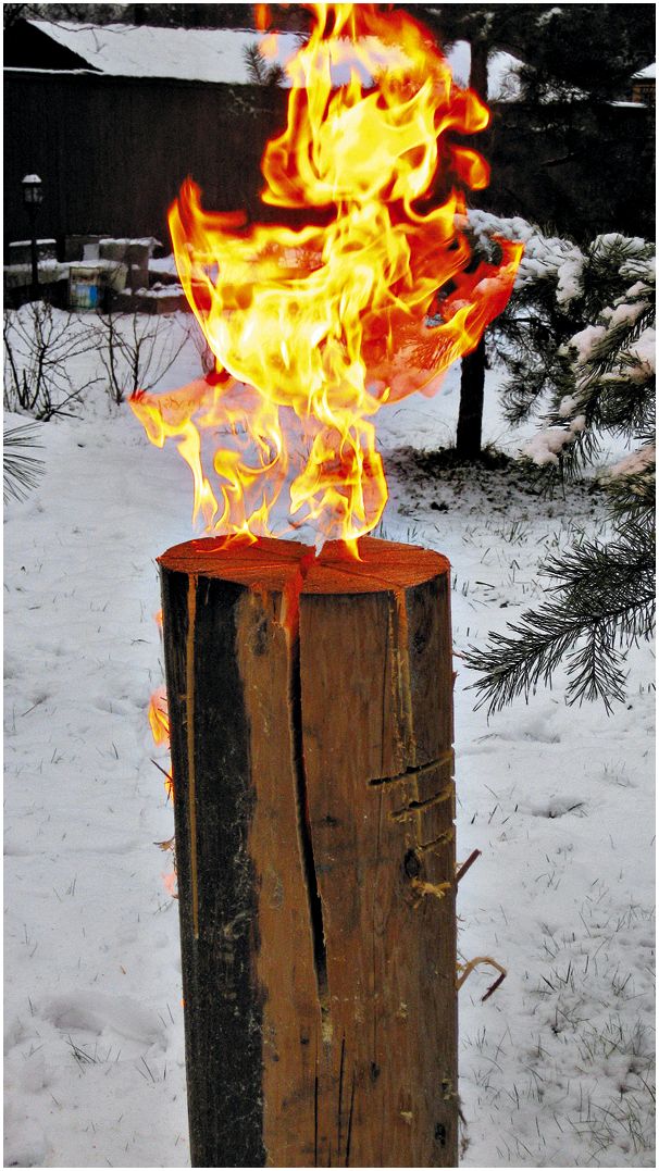 Наука кострового