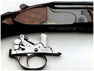 Rizzini premier